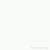 Wilsonart Frosty White - 1573 | Vertical Grade | 157360V-60144