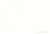 Uniboard 555 Nova White Melamine - 3/4" x 61" x 109" | Option: PBC | 3459555P