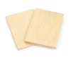 Garnica UV Primed/White Maple Wpf Uv1 | 3/4" 48.5 X 96.5 | 34WMAPP1G