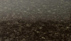 Wilsonart Bahia Granite | - 4595 | 4595K52P-60144