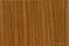 Columbia Forest Products Sapele Plywood | 3/4" 48.5" X 96.5" | 34SAPB1QS