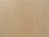 Maple Veneer with Polyback, 4' x 8' | PRO48VMAPPSPB