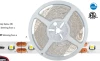 Pro Value Series Pro 1.5W LED Tape | Temperature: 5000K | PROLPT15W5R60