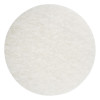 SurfPrep Silicon Carbide Non-Woven Sanding Disc | 5" | SPWD5