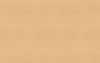 Wilsonart 790960V Fusion Maple VG G2S Panel | 11/16" 4X8 PB | 111648PB7909V2S
