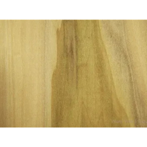 Poplar