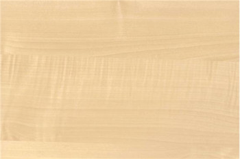 Hardrock Maple 4901 PVC Edgebanding