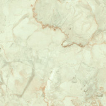 CALACATTA ORO  - 4981