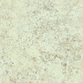 PERLA PIAZZA  - 1867