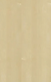 1/4" 48.5" X 96.5" MAPLE B-4 NAT SPLICED FACE RC VC UV1