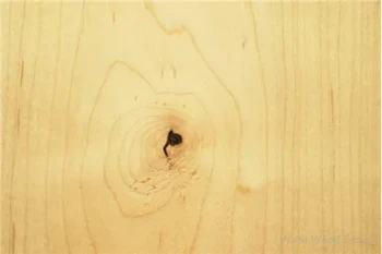 Soft Maple Lumber - 4/4 Paint SEL S2S 13/16" SLR1E | 44SMAPPG