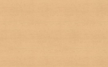 Wilsonart Fusion Maple Postform 78 Finish | 7909K78P