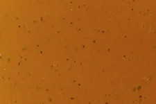 Mohawk Pro Mark 2 Oak Light | M2670004