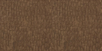 Wilsonart Windswept Bronze PF 60 Finish W/Peelcoat | 479460PPC