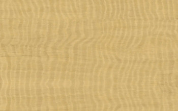 Wilsonart Congo Spruce Postform 60 Finish * Sfo | 706260P