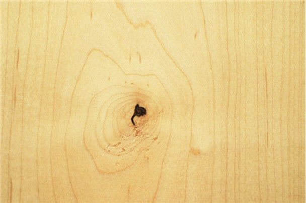 Soft Maple Dimensional Lumber - Â¾" x 4", min. of 8', PG, FP