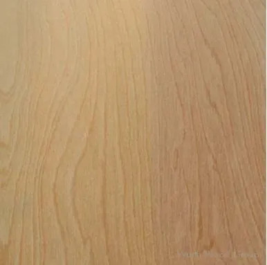 Nat Birch C2 Rc Vc Wpf Ply | 1BB2N1
