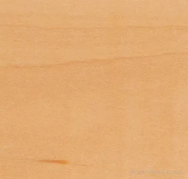 FP 15 Soft Maple FacePlate | WWGFP15SMAP