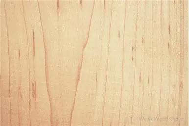 Hard Maple Lumber - 5/4 SLR1E FAS & BTR | 54HMAPRSLR