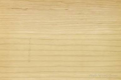 4' X 8' WOW WHITE MAPLE WPF WOW VENEER A FACE | PRO48VMAPWOWWPF