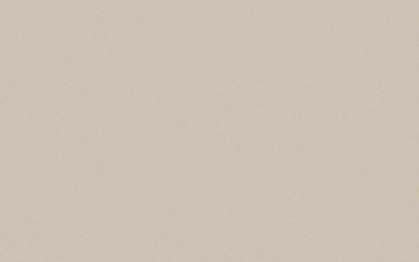Wilsonart Wheat Tabby Laminate | Vertical Grade | 505460V