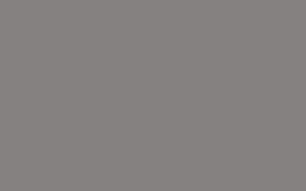 Wilsonart Fossil Shale - D504 Laminate | Postform | D50438P