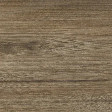 Salt - GSDS6 Pecan Gold | GSDS6EB