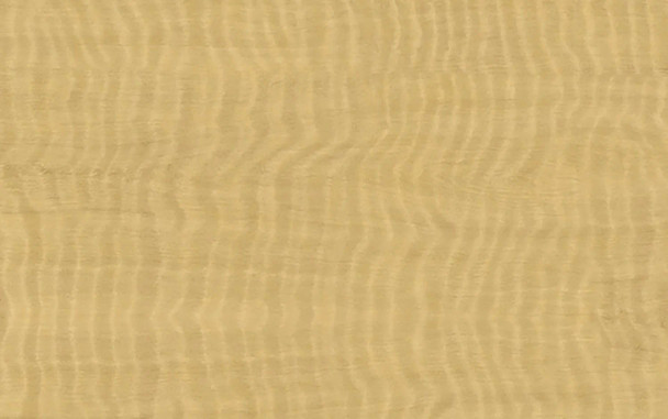 Congo Spruce Postform 60 Finish * Sfo * | 706260P