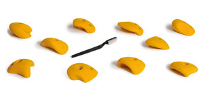 Pure Player 4 Pure Player 4