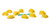 FirstLine Foot 2 FirstLine Foot 2