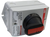 ABB EOT32U3P4-P

DISCONNECT ENCLOSED NON-FUSED SWITCH PLASTIC﻿

1SCA022793R3810

3Pole

SW

40A

N3R/12
