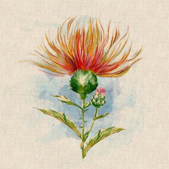 Cushion Picture Panel, Highland Thistle