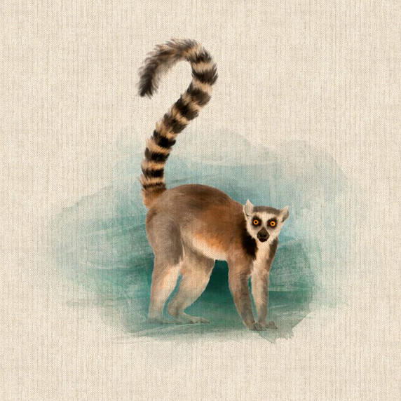 Cushion Picture Panel, Lemur