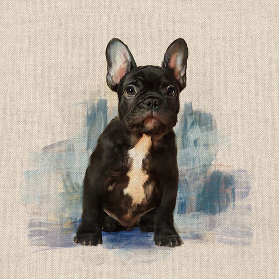 Cushion Picture Panel, French Bull Dog Cushion Picture Panel, French Bull Dog