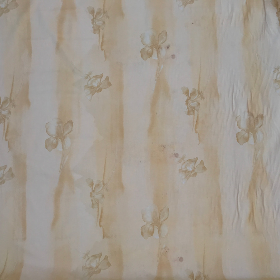 Water Iris Flower Vintage Cotton Fabric, Cream Water Iris Flower Vintage Cotton Fabric, Cream