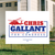 Chris Gallant For Congress - White (24" x 18" Coroplast Yard Sign)