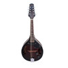 M-5 Electric Mandolin