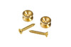 Planet Waves Solid Brass End Pins - Brass (Pair)