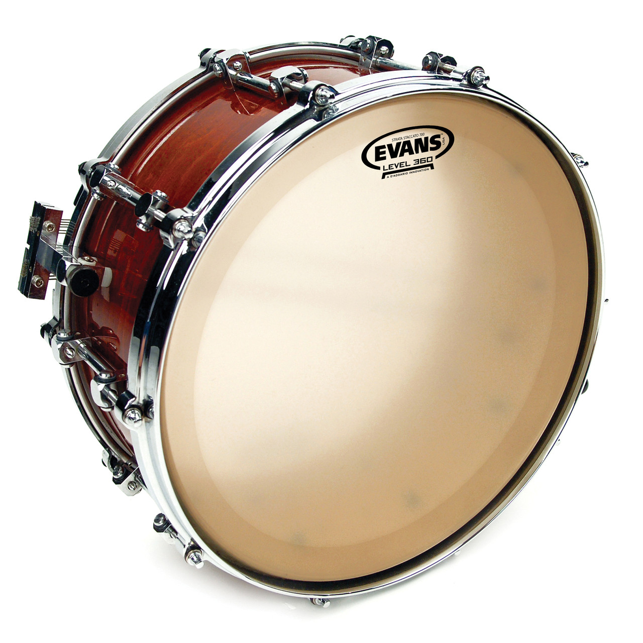 14 inch snare drum head