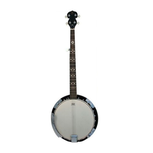 Danville BJ-24 Banjo