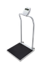 DORAN HANDRAIL SCALE Waist High Handrail Scale, 800x0.2 lb (350x0.1kg), Includes ULc Approved, 110 VAC Adapter