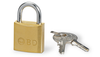 BD Security Lock, 12/cs (Continental US Only)