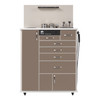 MTI ENT CABINET TC100DS ENT Cabinet, Stand-up with Side Storage, Standard Configuration 1, Laminate-Shadow, Trim-White ( ONLY) (Continetal US & Canada)