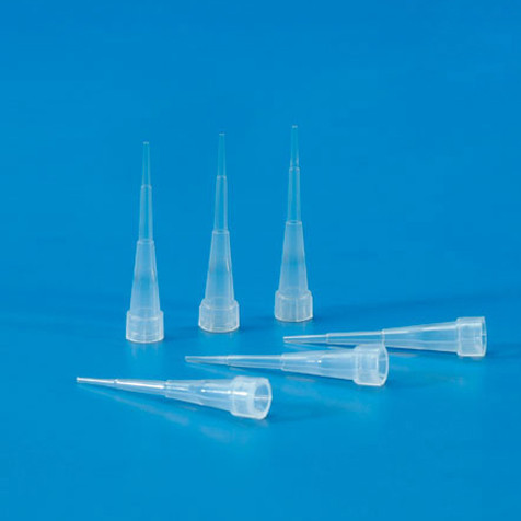 GLOBE SCIENTIFIC PIPETTE TIPS Pipette Tip, Graduated, 31mm, Natural, 1000/bg