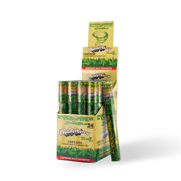 Cyclones Flavored Hemp Cones  24 Pack | 2 Per Tube | Display Box