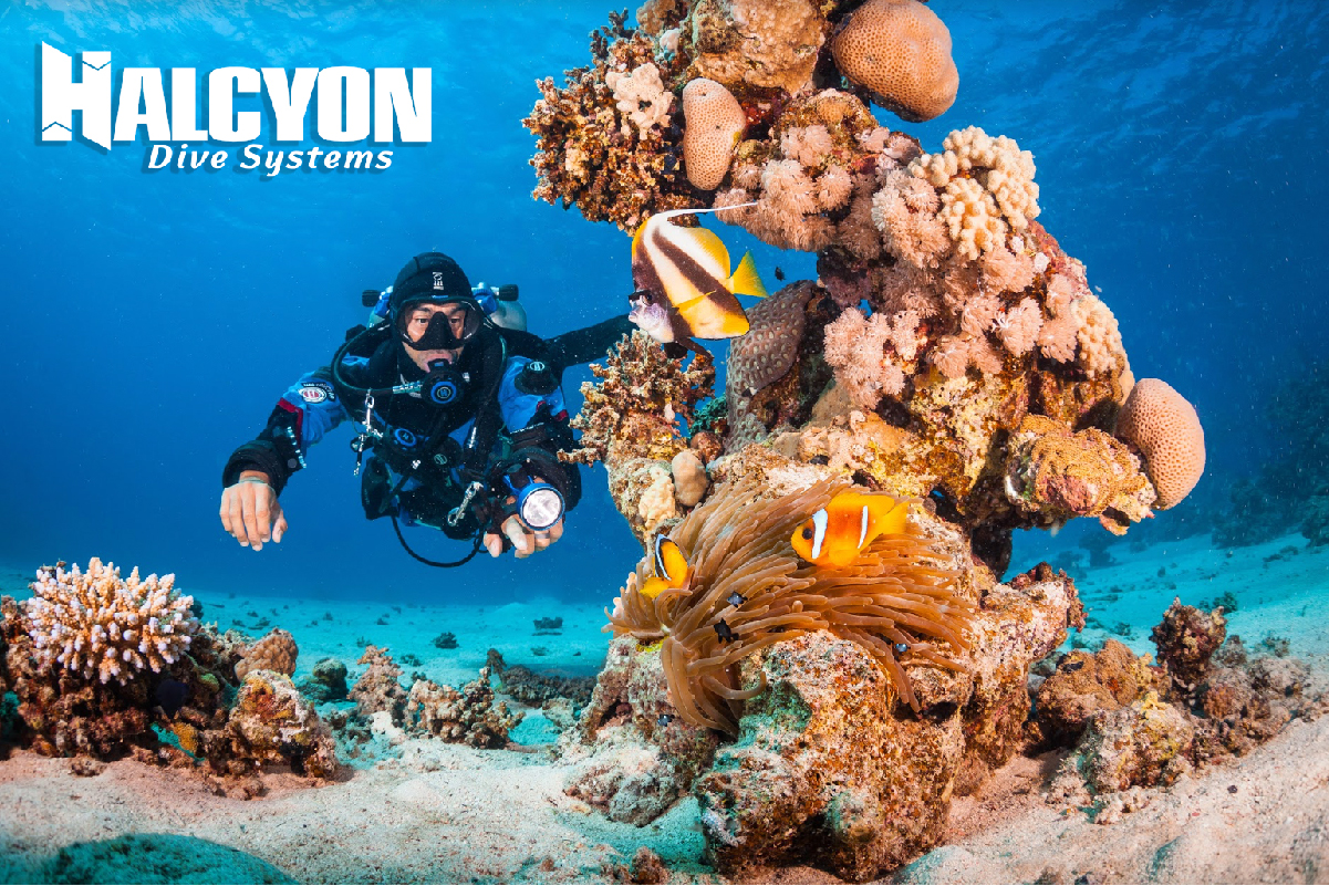 Halcyon Dive Gear
