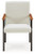Dressonni Dining Arm Chair (D790-02A)
