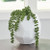Karenton Vase (A2000720)
