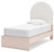 Wistenpine Twin Upholstered Panel Bed, Dresser and Mirror (B1323B2)