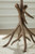 Lemkins Accent Table (A4000606)